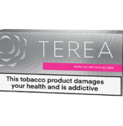 Terea-Silver-satin-al-siparis